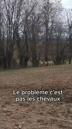 sitation <3