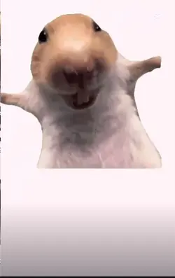 Laughing hamster