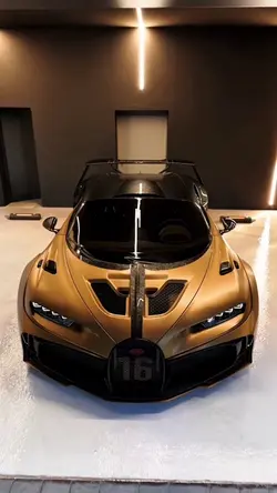 🌟🌟🌟