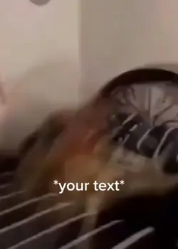 Your text