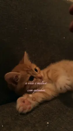 a vida é melhor 