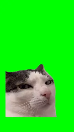 Sus look meme