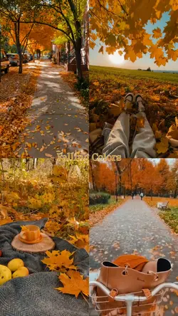 Falling Colors