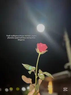 Sad Quotes 66❤️‍🩹