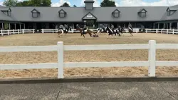 Breyerfest this