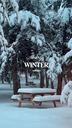 Winter Moment