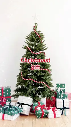 Christmas gift