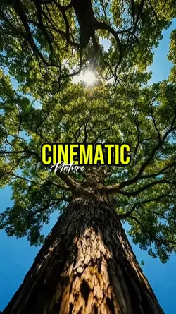 cinematic nature