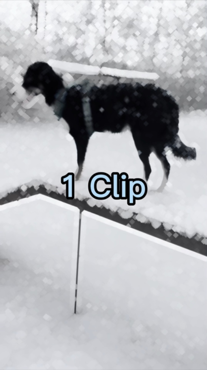 1 Template Transition - Pippit