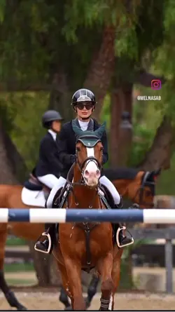 That horse🤩