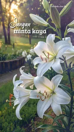 Kata-kata Hari Ini 
