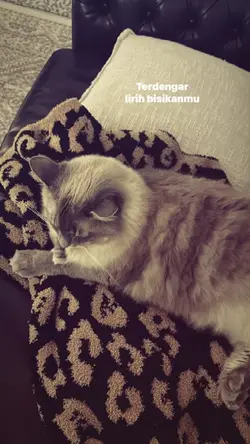 Aku milikmu