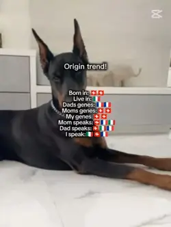 origin trend