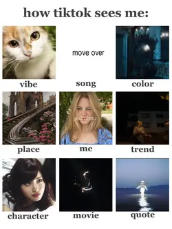 how tiktok sees me 