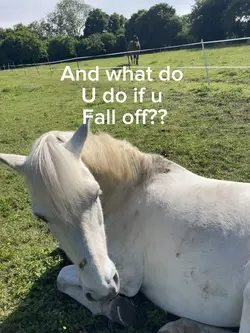 Fall off