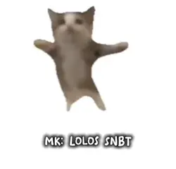 meme kucing ospek