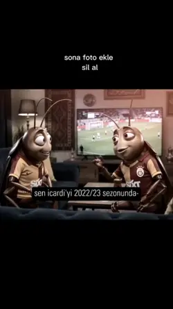 FREE ŞABLON AKİMM