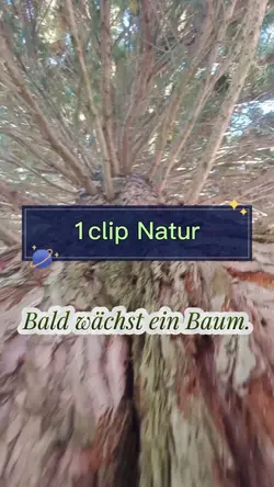 1 Video Natur 