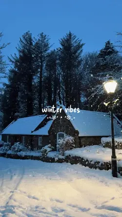winter vibes 