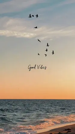 good vibes