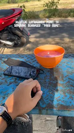 PAKU BUMI LO