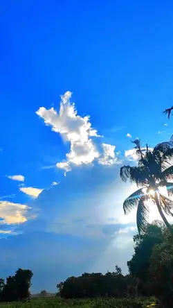 Weather video 