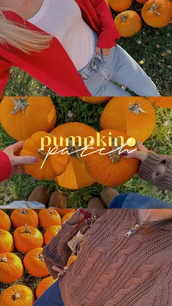 pumpkin patch