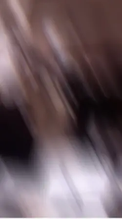 秋桜