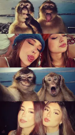 TREND AMIGAS