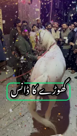 Horse Dance 