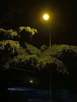 Nhi nhún nhảy 