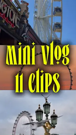 Mini Vlog 11 Clips