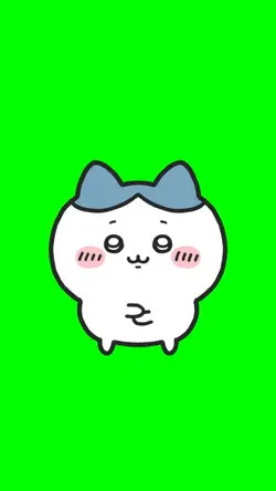 ハチワレミーム🐱
