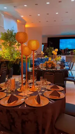 Decoração / evento 