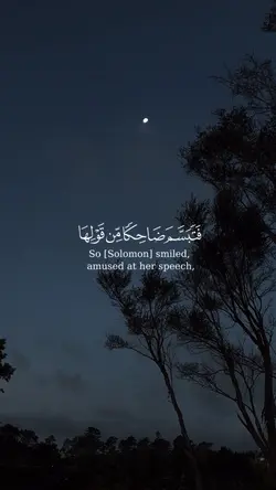 أيات قرآنية 