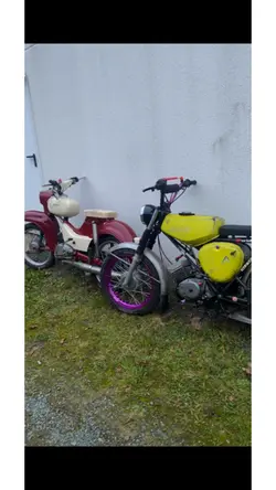 Simson tekke