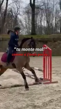 chevaux 