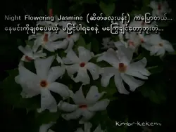 အမှောင်ဆုံးနေ့