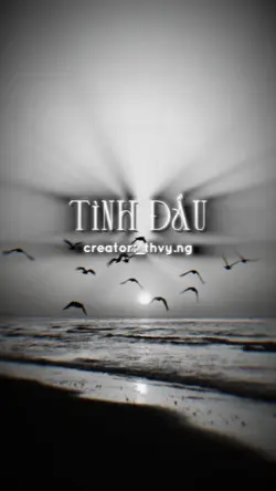 Tình Đầu 