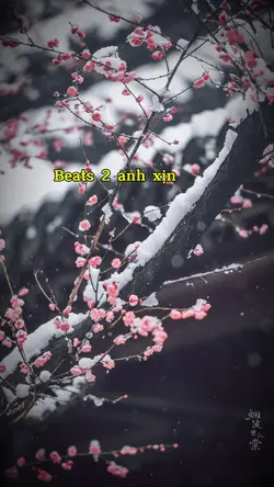 BEATS HAI ẢNH