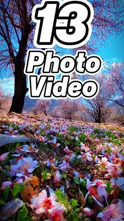 13 clip or photo 