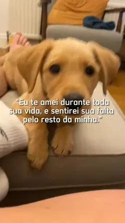 sentirei sua falta..