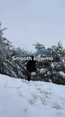 Smooth slowmo
