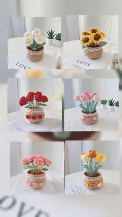 6 photo 6 product