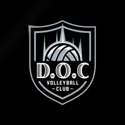 Shiny Logo