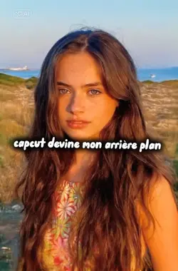 devinemonarriereplan
