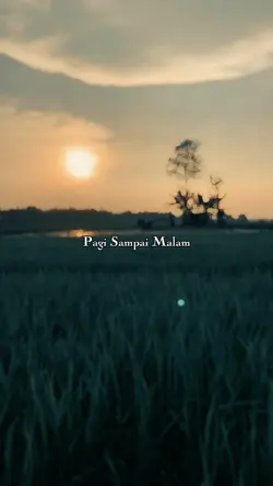 Cari Makan