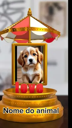 cachorrinho 