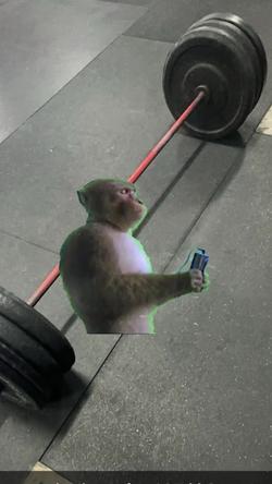 Recut | Headphone  Monkey