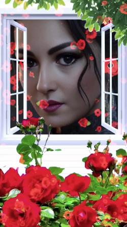 Recut | Rosas vermelha 